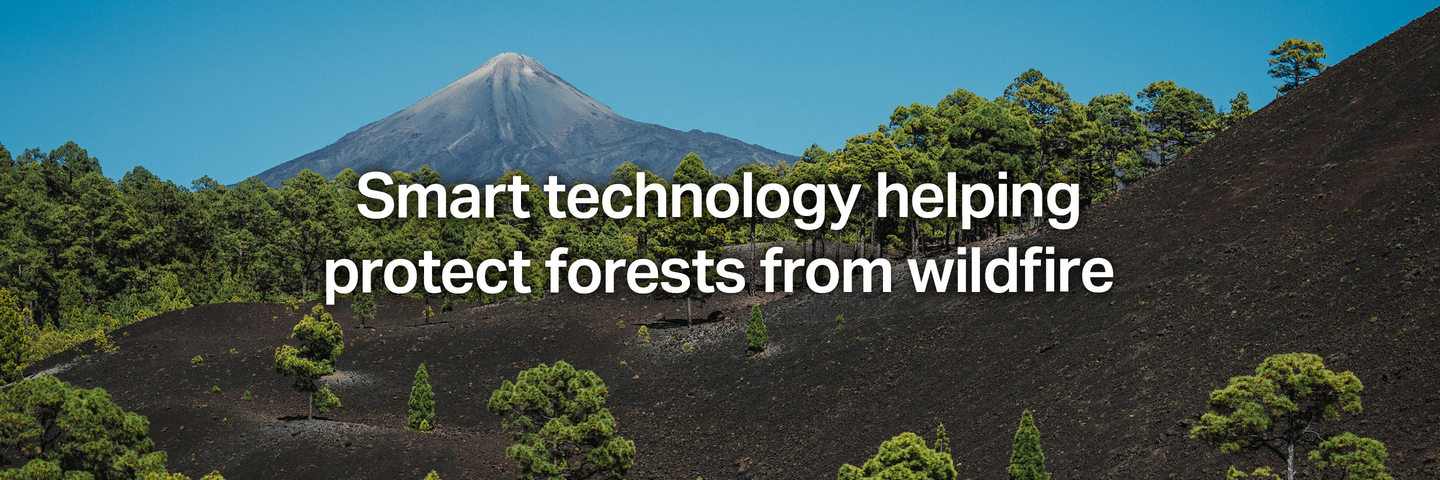 Smart technology helping protect forest from wildfire