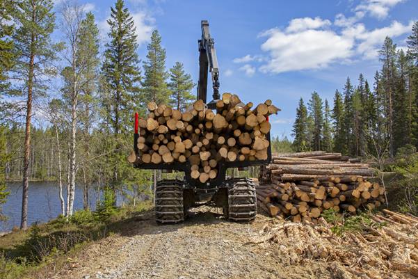 Komatsu 895 load space